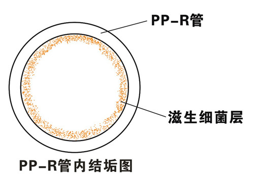PP-R滲氧，易滋生細菌，有異味；腐蝕金屬連接件，降低使用壽命